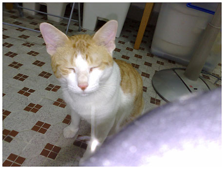 20070605024.jpg