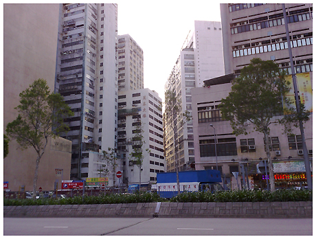 20070621063.jpg
