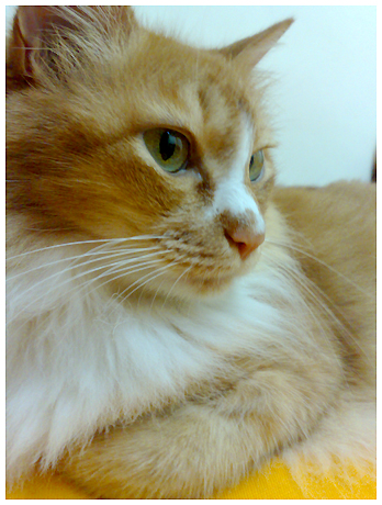 20070621066.jpg