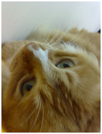20070621071.jpg